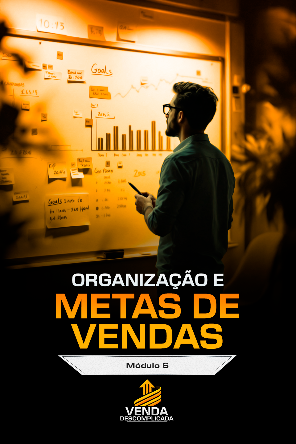 M6 - Organização e Metas de Vendas